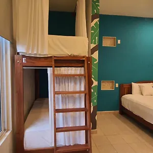 https://la-palmita.allrivieramayahotels.com