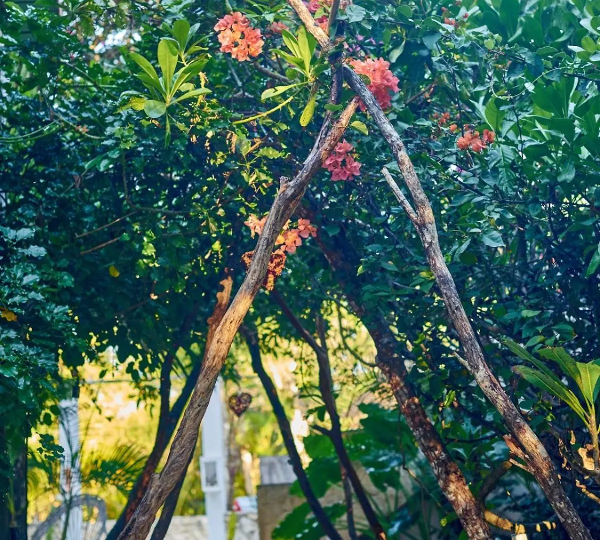 Villa Agua Y Fuego Tulum Bed & Breakfast